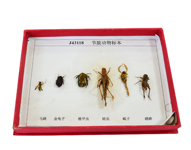 43118��(ji��)֫����˱�